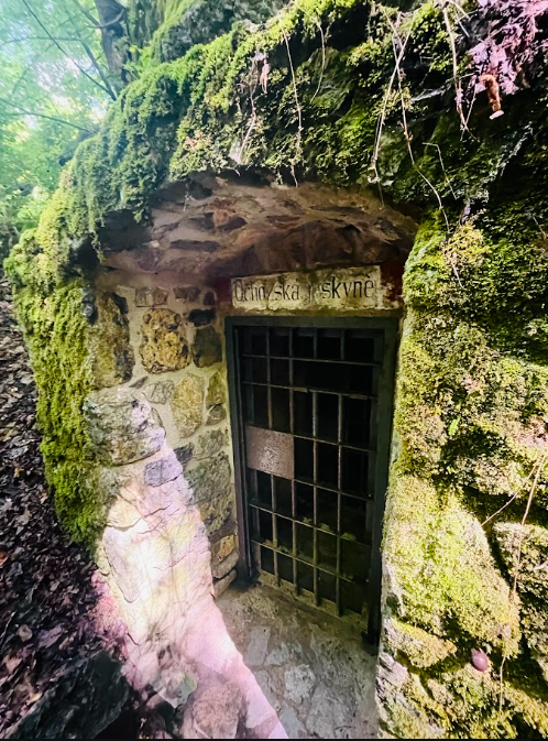 Kapradinový král image